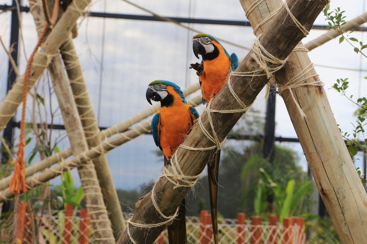 Parque Três Pescadores