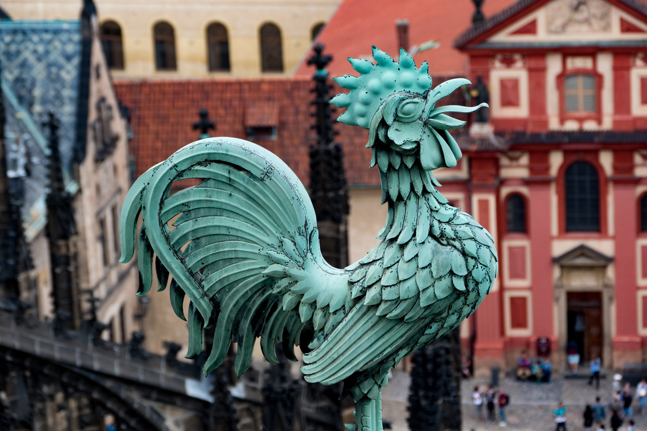 Reprodução - Flickr Reprodução - Flickr