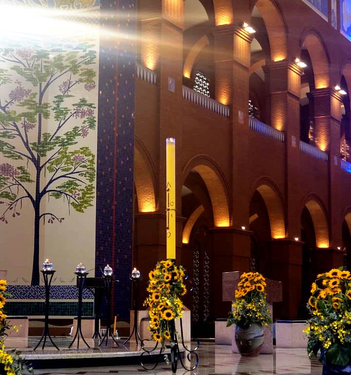 Mário Pereira/A12 Mário Pereira/A12