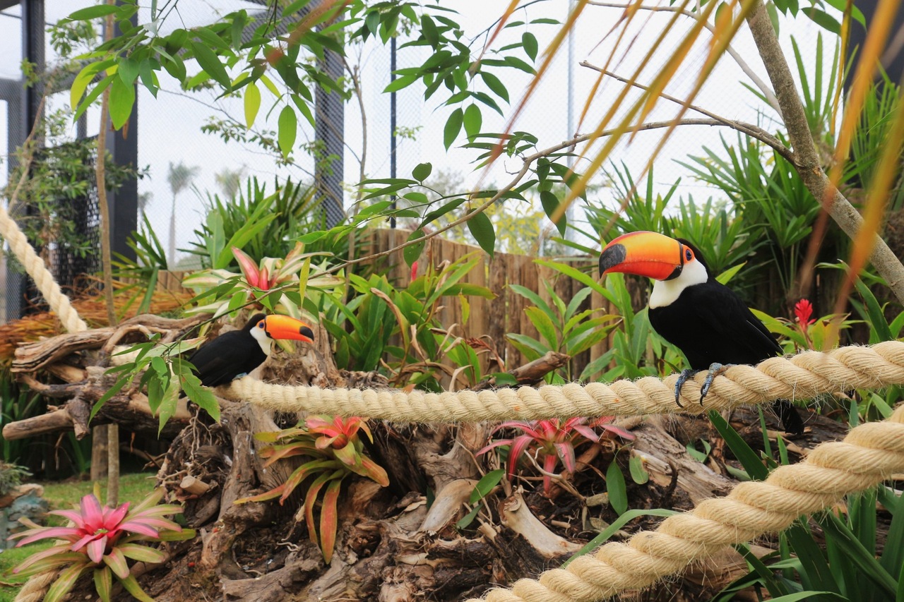 Parque Três Pescadores