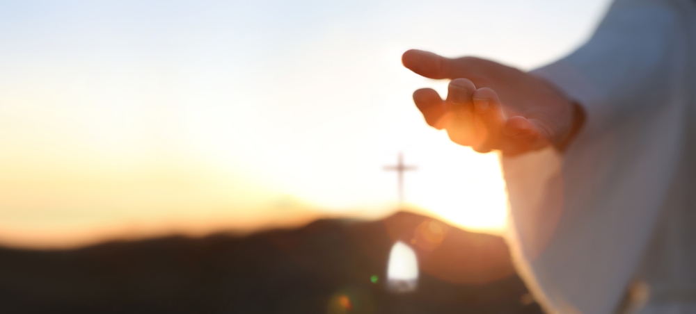 artin1/ shutterstock. artin1/ shutterstock.