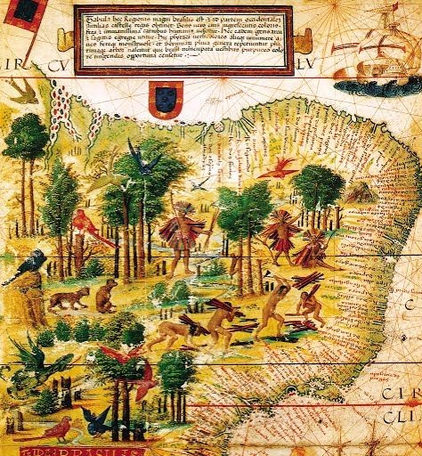 Reprodução Reprodução